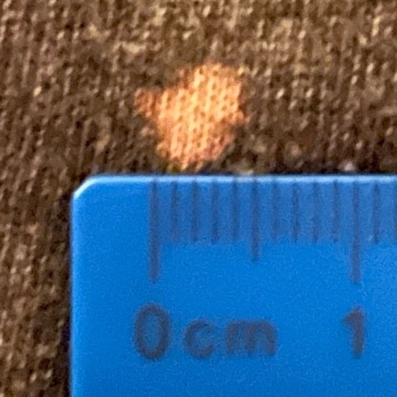 >>>Men’s graphic t-shirt with trees Roots brown white spell out - Picture 7 of 8